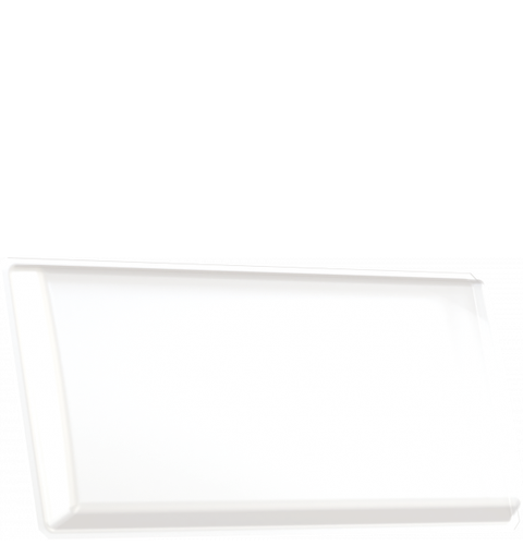 PROLIGHTS EPIPH2X1DD Dome diffuser EclPanelhard2x1