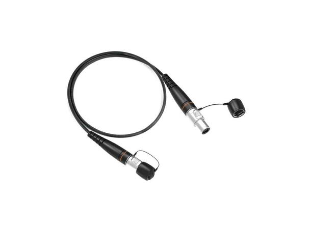 SEETRONIC H-Series optical fiber 1m 12 CH, SM APC, 9/125µ - 8mm 