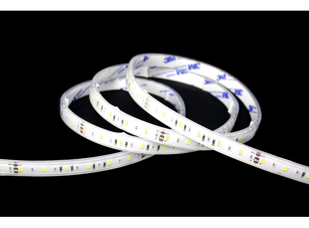 SBL 24V Blålys tape 10W/m, 445nm+5000K 8m, CV,120 LED/m, CRI >90, IP68,Borrelås 
