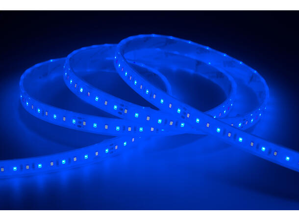 SBL 24V Blålys tape 10W/m, 445nm+5000K 8m, CV,120 LED/m, CRI >90, IP68,Borrelås 