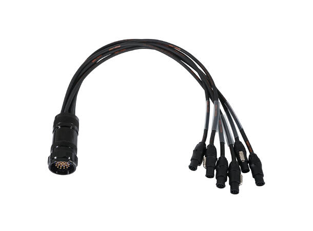 ELUMEN8 Socapex19-Pin Male-True1 1.5mm Fan-Out Cable