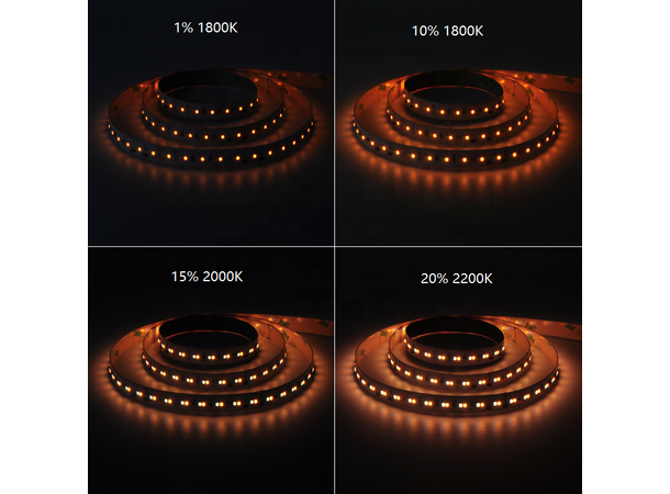 SBL LED Strip Dim-to-Warm 1800-3000K 5 meter, 10mm, innendørs. 24V