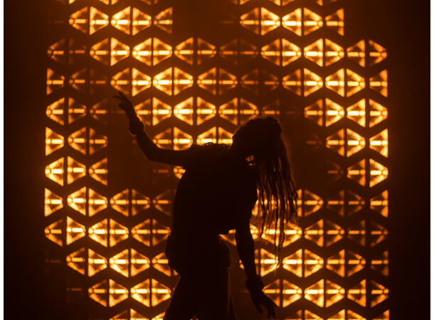 PORTMAN S-Tribe 5 x WWLED, 10 x RGBW LED, DMX, ArtNet