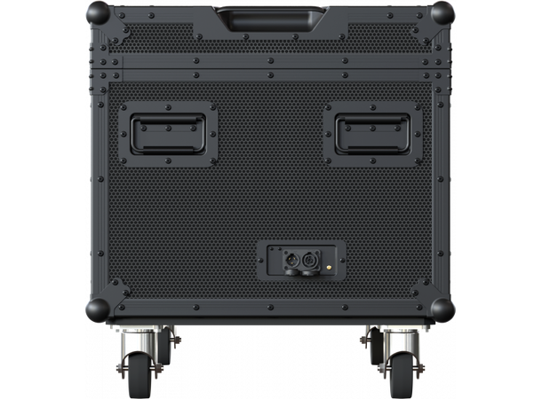 PROLIGHTS FCLSMARTBATWASH Flightcase For 4 x Smart Batwash