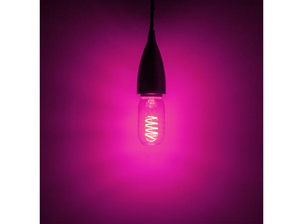 PROLITE LED Filament pære, Funkyfil E27 4W, Magenta, Ikke dimbar