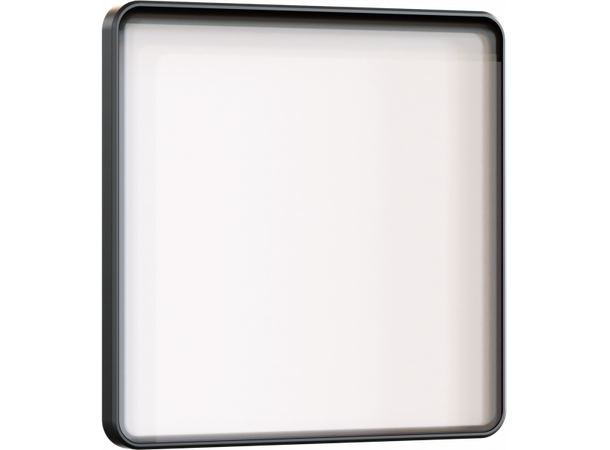 PROLIGHTS ENPTWCFILTERINT Diffusor Front intensified