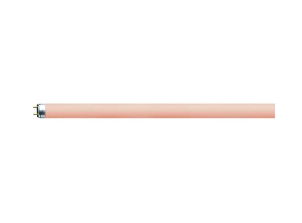 Osram 36W lysrør for GLP startube, RØD T8