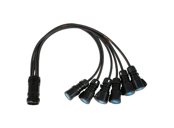 ELUMEN8 Socapex 19-Pin Male-16A Female 2.5mm Fan-Out Cable