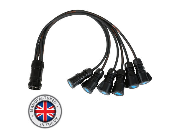 ELUMEN8 Socapex 19-Pin Male-16A Female 2.5mm Fan-Out Cable