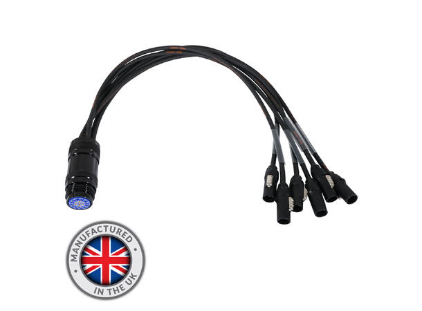 ELUMEN8 True1 - Socapex 19-Pin Female 1.5mm Fan-In Cable