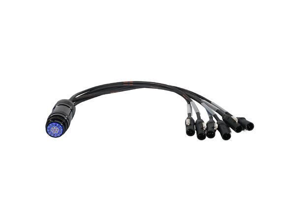 ELUMEN8 True1 - Socapex 19-Pin Female 1.5mm Fan-In Cable