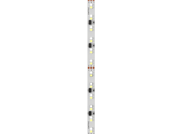 ENTTEC 9CY-10 LED Strip, medium output 3000-5500K, 11,8W/m, 1704lm/m, 24V, 10m