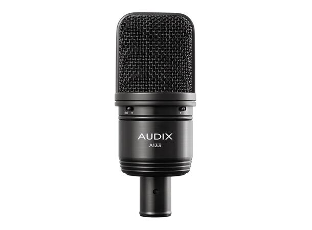 Audix A133 Studio Electret Condenser Mic Incl: carrying case & stand mount.