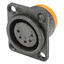HICON HI-X5DF-HD-B 5-pin XLR hun chassis Sort. D-panel, IP54
