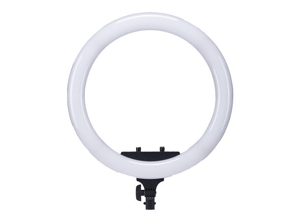SBL R-36 LED Ringlys 3000-6500K, dimmer, 230V/NP-V batterier