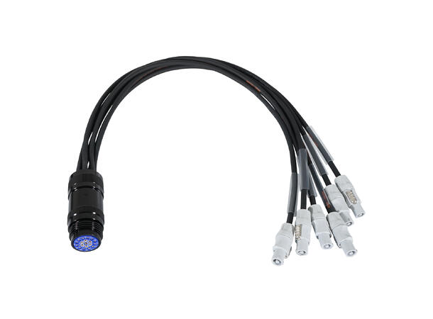 ELUMEN8 PowerCON-Socapex 19-Pin Female 1.5mm Fan-In Cable