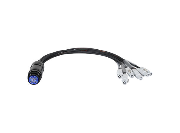 ELUMEN8 PowerCON-Socapex 19-Pin Female 1.5mm Fan-In Cable
