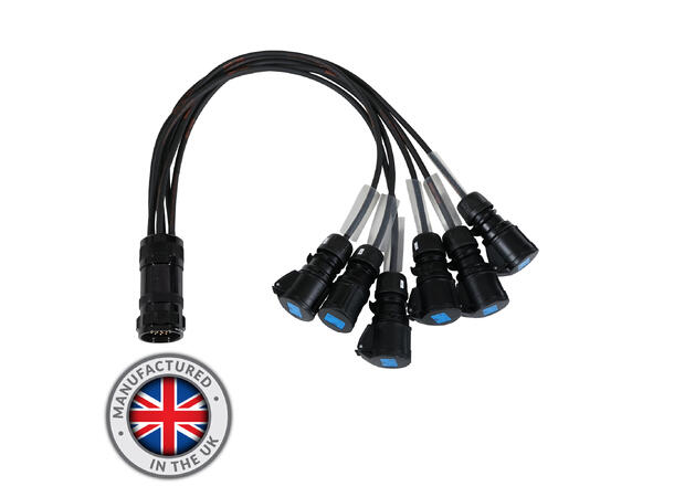 ELUMEN8 Socapex 19-Pin Male-16A Female 1.5mm Fan-Out Cable