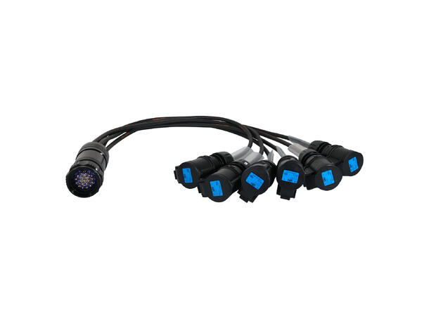 ELUMEN8 Socapex 19-Pin Male-16A Female 1.5mm Fan-Out Cable