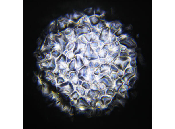 EQUINOX EQLED373 Waterwave XP 100W LED,  34° og 60°, DMX