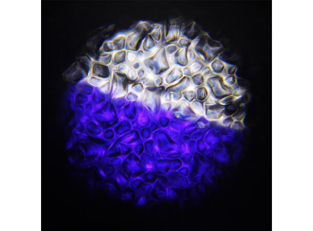 EQUINOX EQLED373 Waterwave XP 100W LED,  34° og 60°, DMX