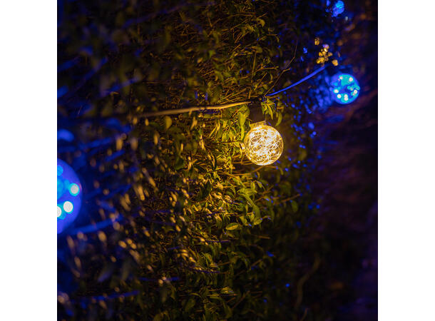 PROLITE LED Filament pære, Globe B22 1.7W, Ikke dimbar, Star, Blue bc
