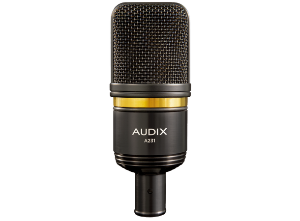 Audix A231 Studio Electret Condenser Mic Incl: carrying case & stand mount.