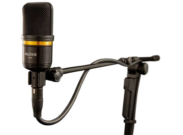 Audix A231 Studio Electret Condenser Mic Incl: carrying case & stand mount.