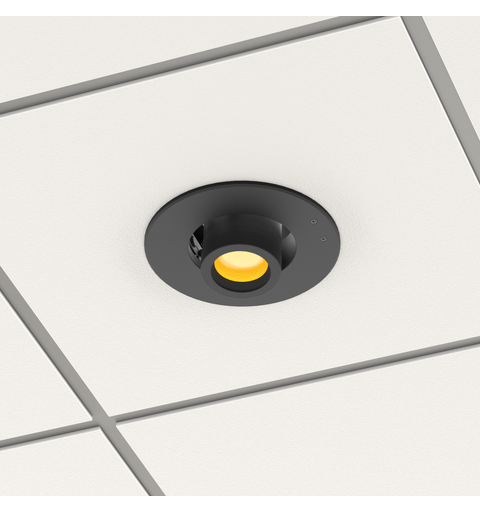 PROLIGHTS Flens for EclDisplay