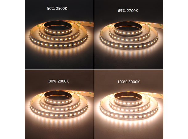 SBL LED Strip Dim-to-Warm 1800-3000K 10 meter, 10mm, innendørs. 24V