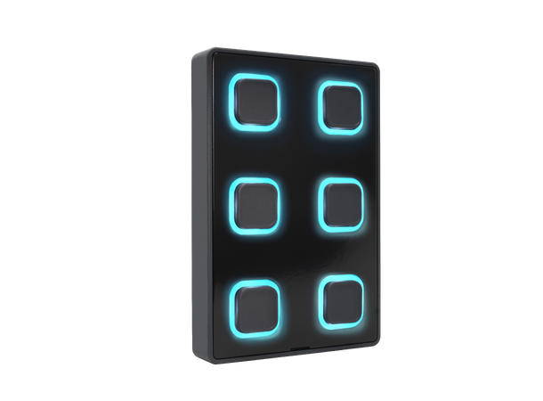 VISUAL PRODUCTIONS B-STATION2 Veggpanel med 6 programmerbare knapper