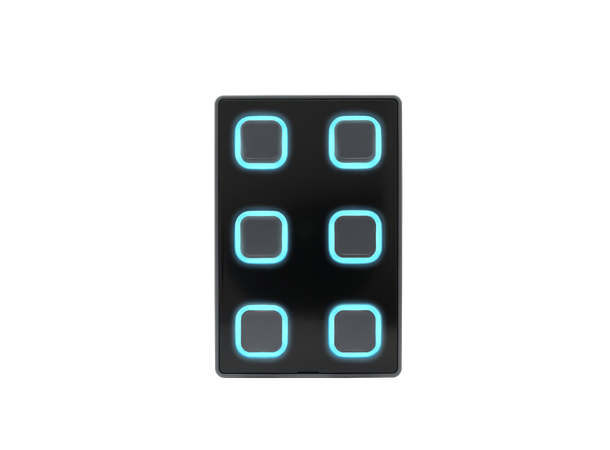 VISUAL PRODUCTIONS B-STATION2 Veggpanel med 6 programmerbare knapper