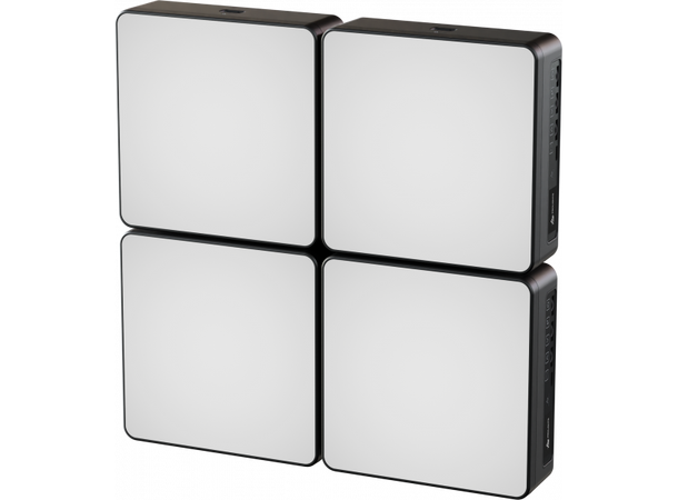 PROLIGHTS ENPTWCMP2X2 Matrix plate M10, 2 x 2 ECLNanopnel