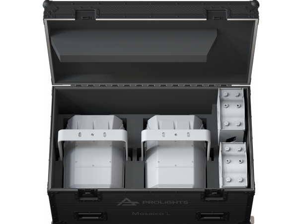 PROLIGHTS FCLMOSAICOL Flightcase for 2 x MOSAICOL