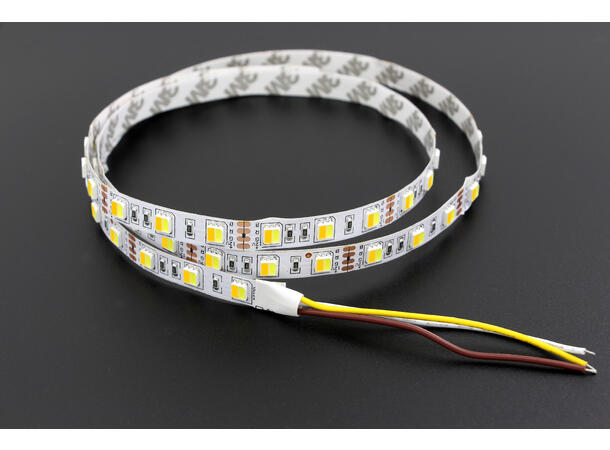 SBL LED CW+WW LED strip 5 meter,  120LED/m, 10mm, innendørs, 24V
