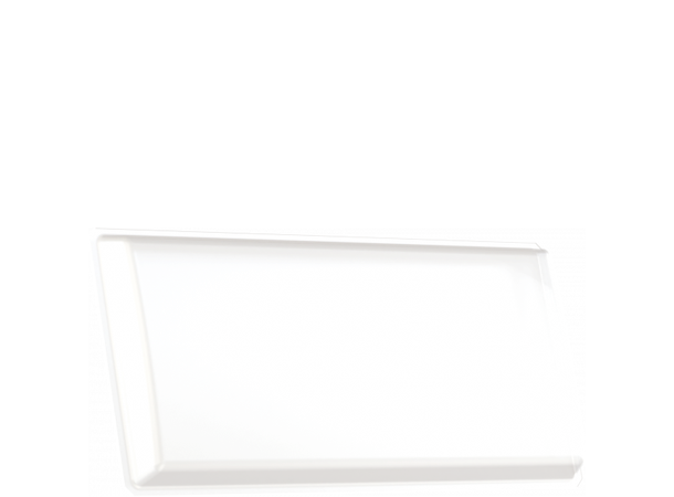 PROLIGHTS EPIPH2X1DD Dome diffuser EclPanelhard2x1