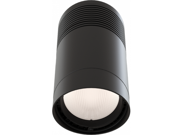 PROLIGHTS ECLPENDSHSNOOTBK Half snoot Passer ECLPENDANTS, Sort