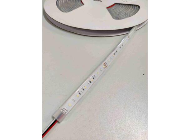 SBL 24V Blålys tape 10W/m, 445nm+5000K 10m, 8mm, CV,120 LED/m, CRI >90, IP68