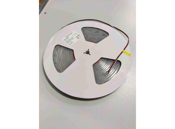 SBL 24V Blålys tape 10W/m, 445nm+5000K 10m, 8mm, CV,120 LED/m, CRI >90, IP68