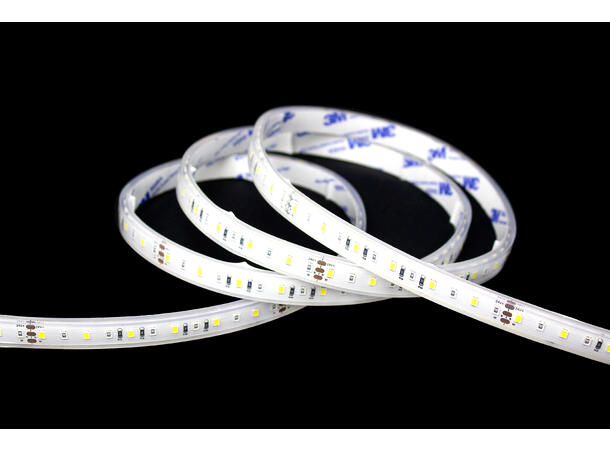 SBL 24V Blålys tape 10W/m, 445nm+5000K 10m, 8mm, CV,120 LED/m, CRI >90, IP68