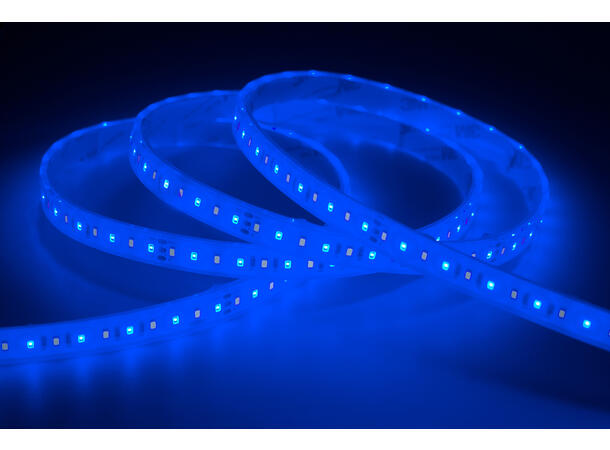 SBL 24V Blålys tape 10W/m, 445nm+5000K 10m, 8mm, CV,120 LED/m, CRI >90, IP68