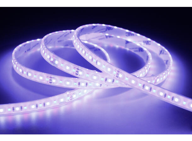 SBL 24V Blålys tape 10W/m, 445nm+5000K 10m, 8mm, CV,120 LED/m, CRI >90, IP68