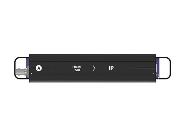 THEATRIXX Streaming Server Modul HDMI1.2/3G-SDI til H.264, XVVRF