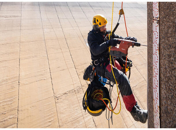 PETZL ASAP'SORBER Axess 