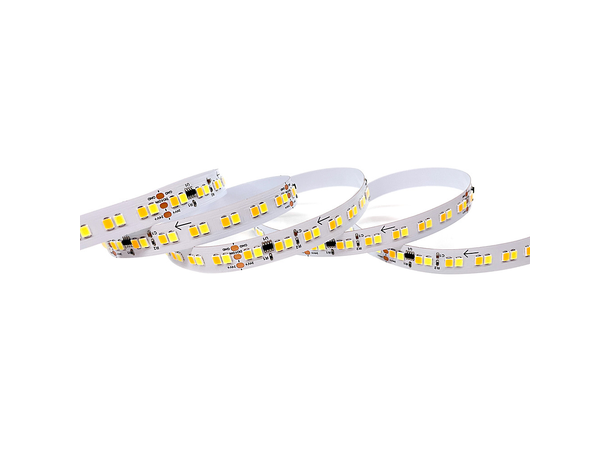 SBL 24V TW Pixel LED Strip, 10W/m 5m, 10mm, CV, 196 LED/m, IP20