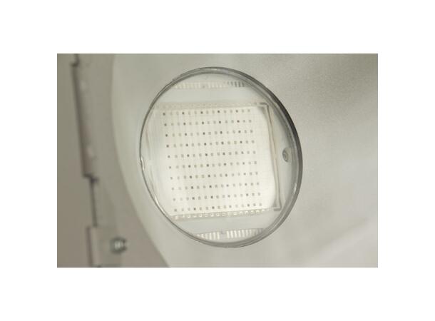 BRITEQ LDP-COBWASH 150TC 150W RGB COB Led, IP65