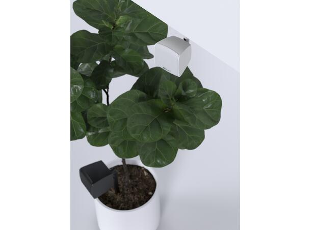 ECLER eMOTUS3ODWH Miljøhøyttaler 3", 25W, 70/100V, IP65, Hvit 
