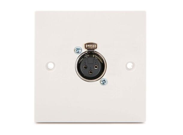 KAGU Vegguttak XLR hun 3 pin 86x86mm