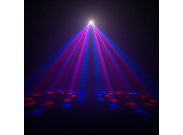 EQUINOX Boogie Lyseffekt Sort