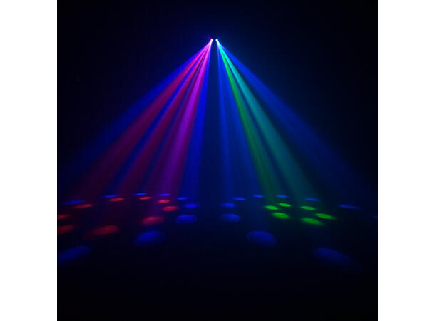 EQUINOX Boogie Lyseffekt Sort